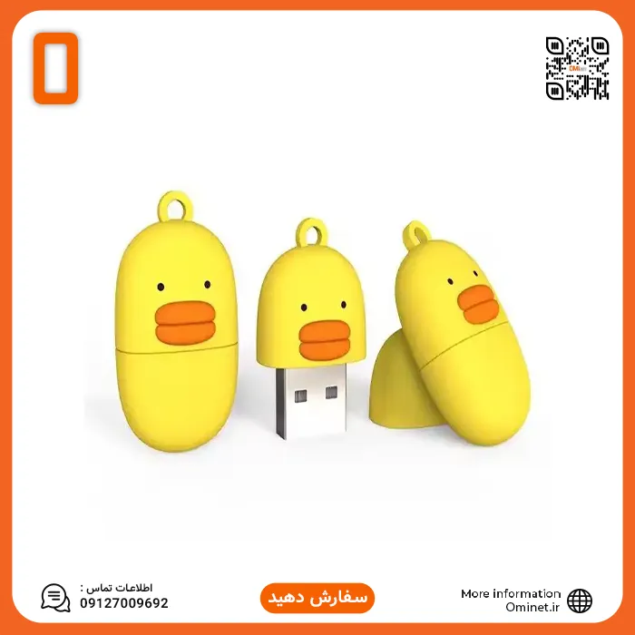 فلش عروسکی 64 گیگ وریتی Verity T243